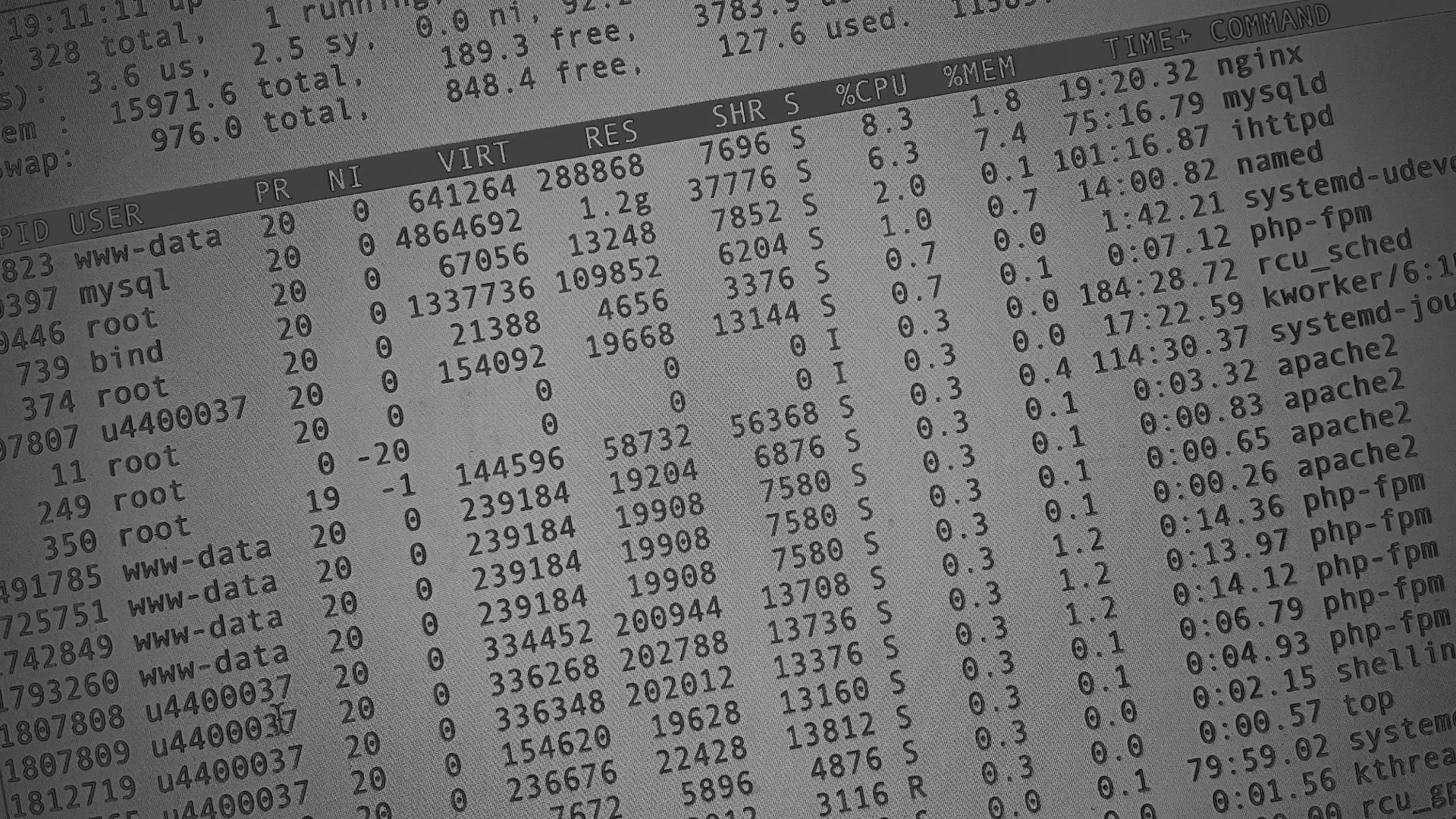 Настройка сервера в Марксе